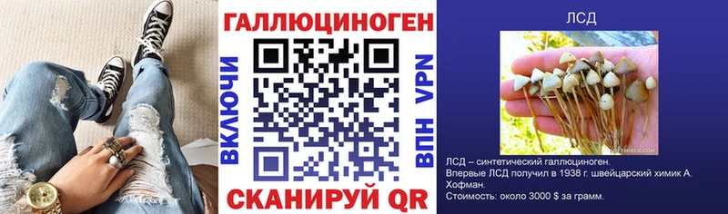 Купить закладки  Шахты  Псилоцибиновые грибы Psilocybe 
